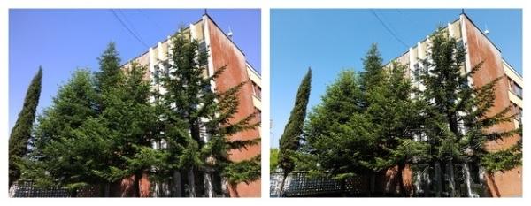 a7900088fbf87d4c72f (1).jpg ,小米,小米5和三星7S,相差的仅仅是两千块吗