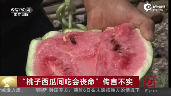 3.jpg ,保鲜膜真的能保鲜西瓜吗?