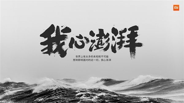 ,小米,微软,高颜值的小米5C，内涵美不美？