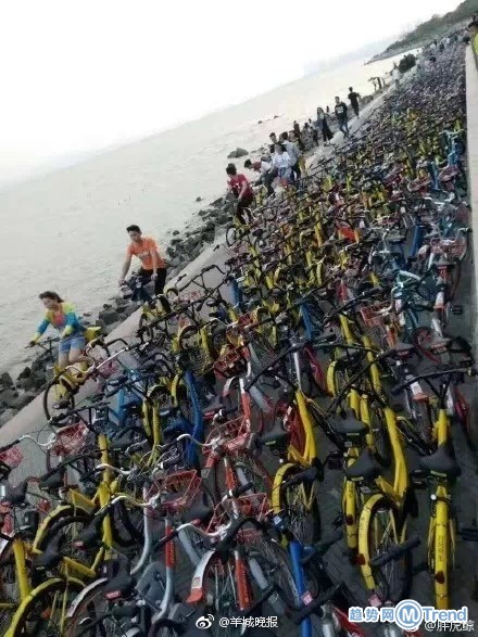 今日热点：女生35秒内被掌掴14次 深圳湾被共享单车攻陷