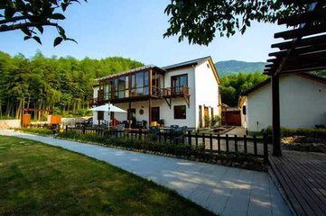 ,国内线上短租行业初露锋芒，2017将迎来前所未有的发展机遇