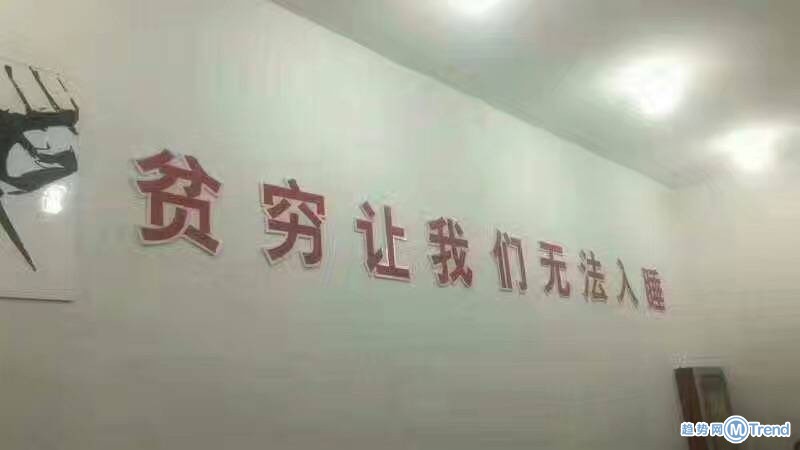 今日热点：出租自己月入上万 一周用光千卷厕纸