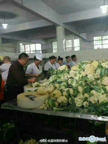 吃货快来：一万斤花菜免费吃 澳洲三文鱼泛滥没人吃