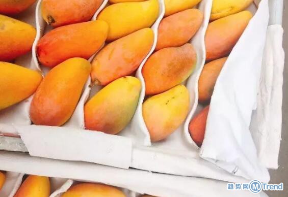 今日热点：女子停车场被劫走 一箱芒果纸占9斤