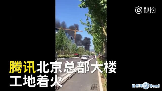 两份披萨毁掉一个亿万富翁 新浪员工救火