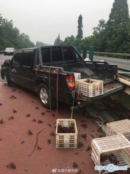 今日热点：廊坊限购升级 运虾车又翻了