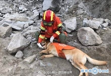 今日热点：江苏不再公布高考成绩 四川茂县山体垮塌