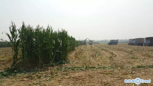 今日热点：雄安先行补偿标准 林心如关闭评论