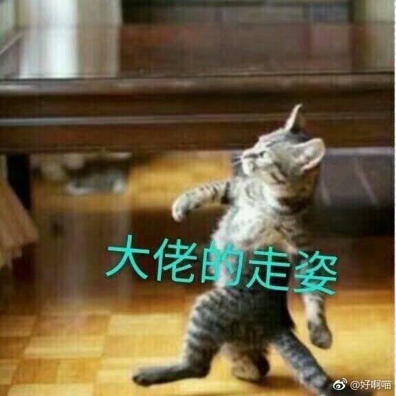 ,《亲爱的客栈》都有了，本土化的《川普的学徒》还会远吗？