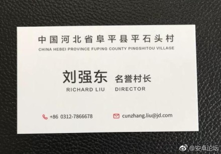 ,刘强东,刘强东上任河北平石头村村长