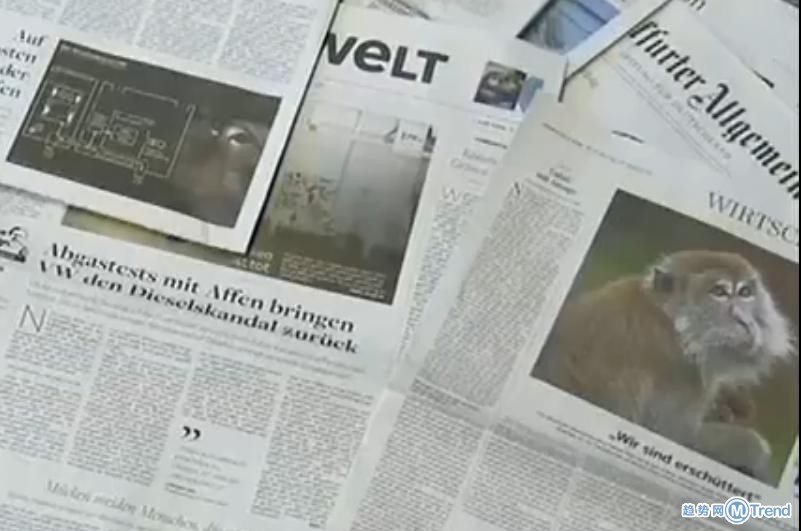 今日热点：大众用猴子测尾气 村民捡两只小豹猫