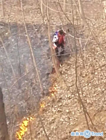 今日热点：林志颖儿子跌伤脸 男孩只身扑灭山火