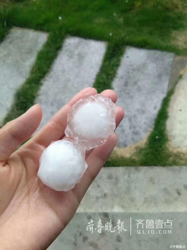 A04F8CA10FE2401FE93FC07640C577241EF304AA_size67_w650_h867.jpeg ,烟台突降鸡蛋大的冰雹!