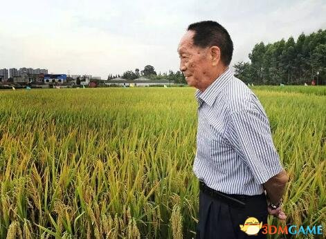 ,厉害了！中国“神农”袁隆平沙漠种水稻初获成功