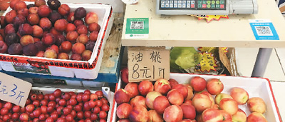W020180709311584249222.jpg ,出门不带钱包,只带手机,你习惯吗?