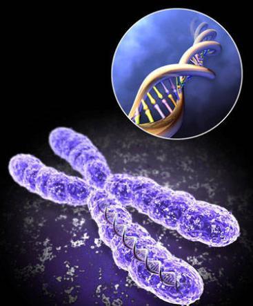 a6f1c6d011ec3eb8-e39f04a81d9a2c55-7766674ce8a64ae95c31a2352811fedf.jpg ,“第三性别”来临,德国这一举措或将颠覆传统