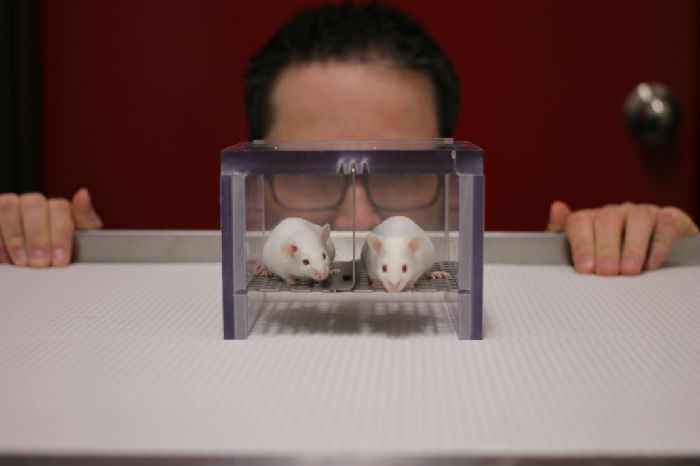 ,社会科学有一个极其复杂的复制危机