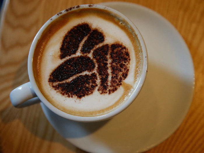 2017-11-22t235219z889784776rc1edba81280rtrmadp3health-coffee.jpg ,开市前你需要知道的10件事