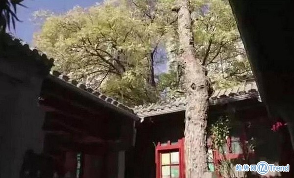 今日热点：李晨四合院曝光 禁止肥胖游客观光