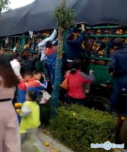 今日热点：家长带孩子抢橘子 双11来了双十一玩法攻略