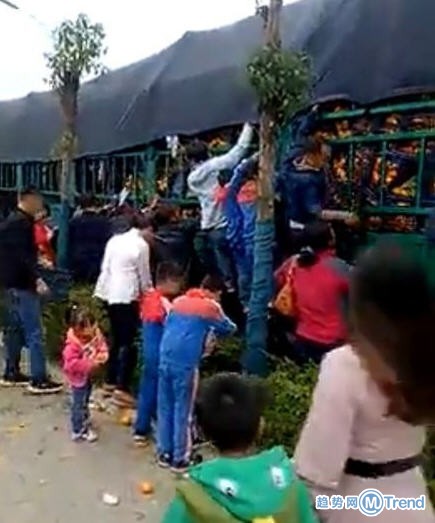 今日热点：家长带孩子抢橘子 双11来了双十一玩法攻略