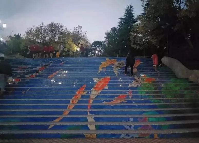 郑州大学西亚斯国际学院的锦鲤台阶