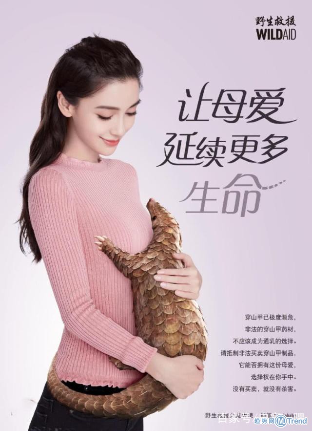 今日热点：杨颖拍广告帮倒忙 陈昱霖甩卖奢侈品