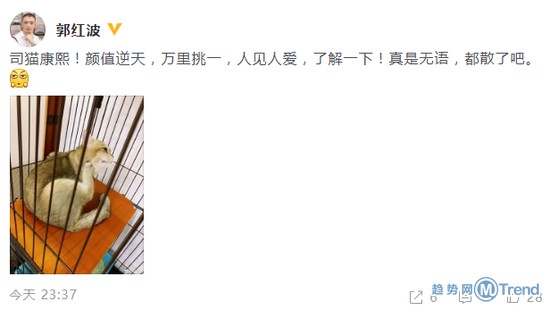 今日热点：贾乃亮金晨方否认恋情 社保降费正式实施