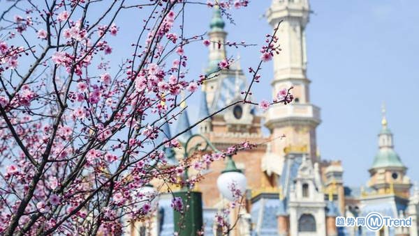 今日热点：上海迪士尼闭园 北大三次退档考生