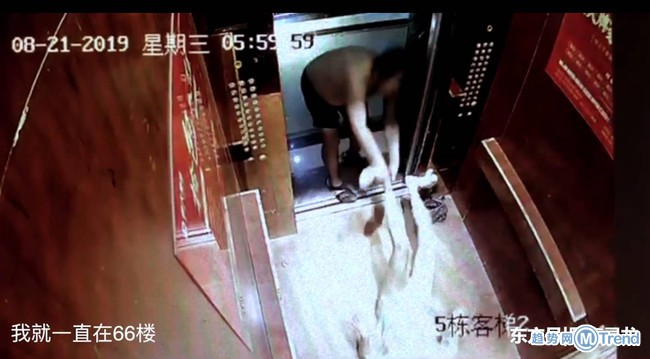 今日热点：温州男性保护令 博主宇芽被家暴