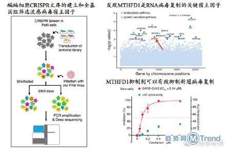 热点：蝙蝠中现病毒抑制剂 高考延期一个月湖北北京另安排