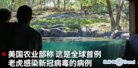 热点:海底捞复工后涨价 美国一老虎新冠阳性