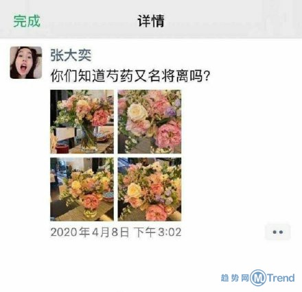 天猫总裁蒋凡道歉夫人喊话张大奕事件！