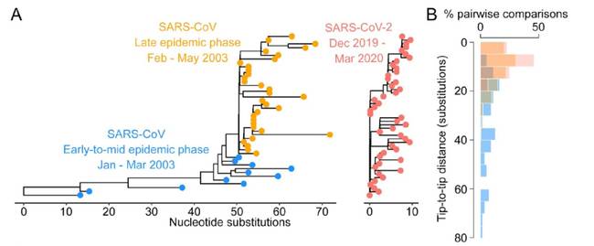 疫情对美国打击远超911！新冠病毒潜伏久高度适应人类