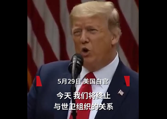 美国6月起禁部分中国留学生入境 美国终止与世卫组织关系