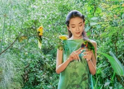 杨丽萍被评论没子女是失败 戚薇发文力挺