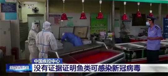 水产品或被新冠病毒污染而非感染