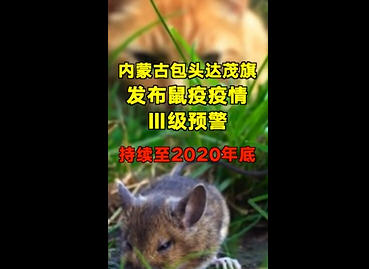 内蒙古包头出现1例鼠疫死亡病例 内蒙古包头出现1例鼠疫死亡病例