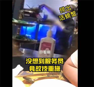 上海知名餐厅用死蟹换活蟹！父母起诉22岁女儿拒养弟弟胜诉