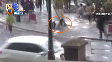 热点：女主播在西湖边跪爬征婚 内蒙古政协原副主席马明被双开