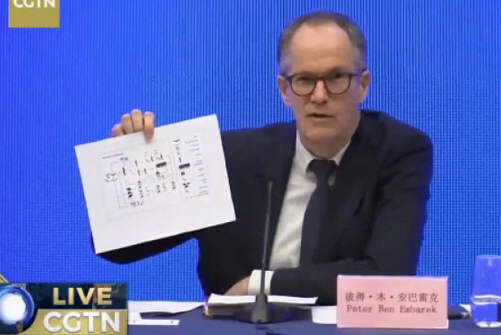 世卫:病毒由实验室泄露可能性极低 水貂猫等也可能是新冠病毒宿主