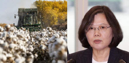 中传回应招生被指男女不平等！台湾也要跟风抵制新疆棉?