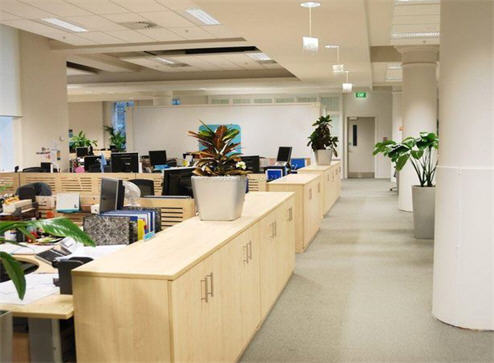 女子怕走光上班打伞被开除