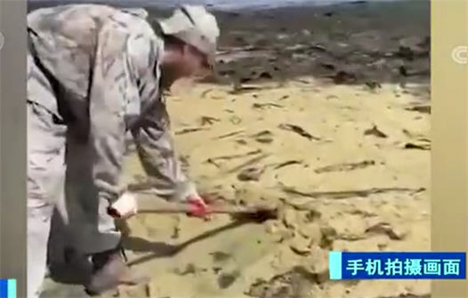 俄罗斯人用鱼子酱施肥