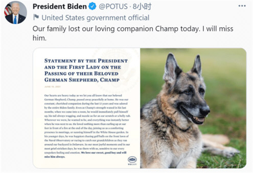 蔡英文吊唁拜登爱犬被骂惨