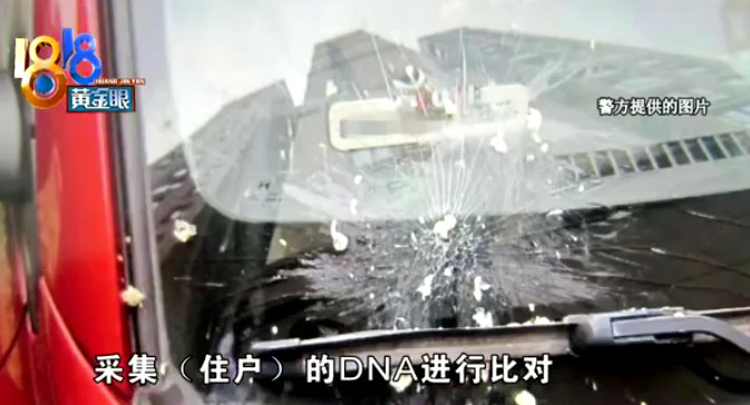 玉米从天而降 派出所验DNA