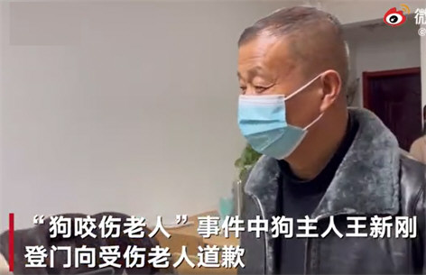 狗伤人事件涉事人被停职 狗伤人事件涉事人被停职