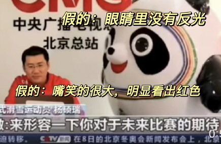 官方:会说话的冰墩墩是假的