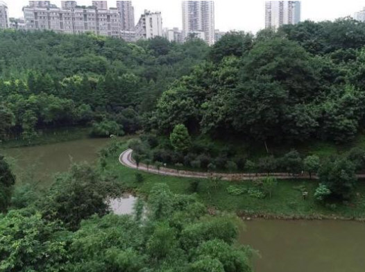 投250万意外险小伙溺亡 保险拒赔