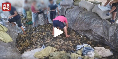 康师傅致歉:取消与插旗合作